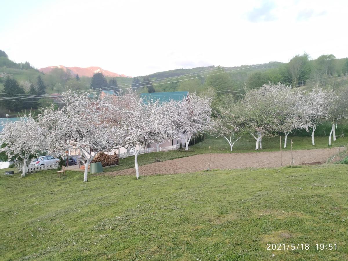 Apartments & Rooms Bojic Kolasin Exterior photo