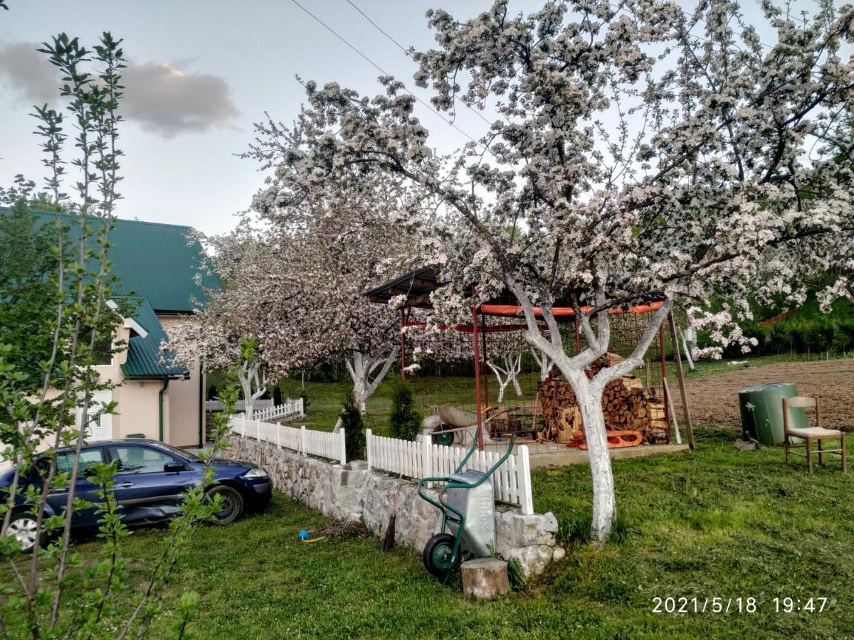 Apartments & Rooms Bojic Kolasin Exterior photo